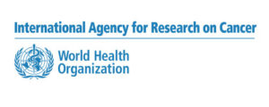 WHO logo
