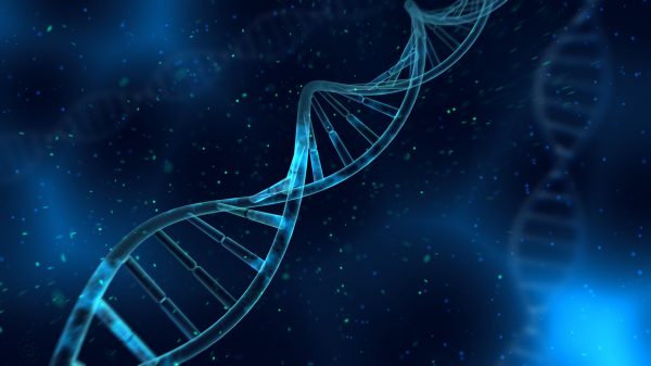DNA strand