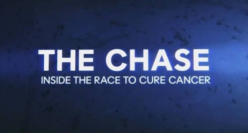 news-chase